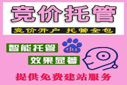 探索SEM竞价优化：成功企业的广告策略